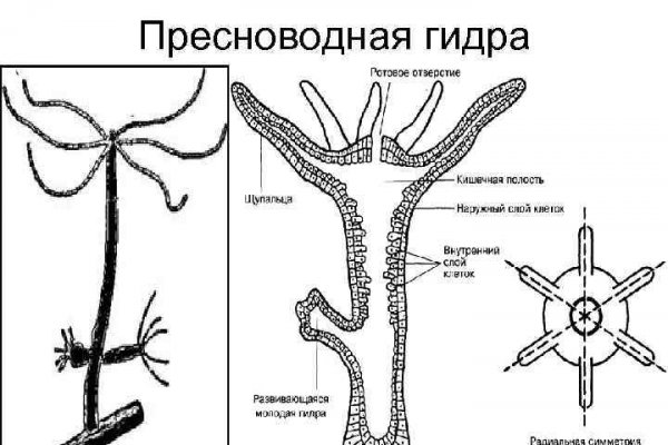 Купить наркотики онлайн