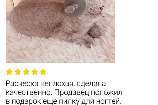 Solaris даркнет