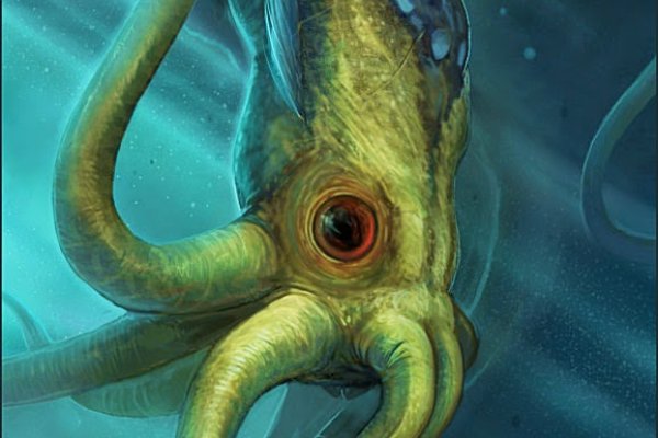 Kraken 12at