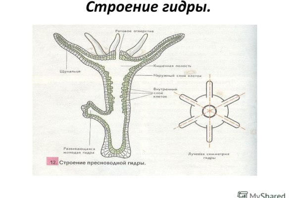 Через какой браузер заходить на кракен