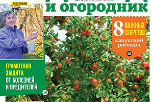 Кракен маркетплейс ссылка телеграмм