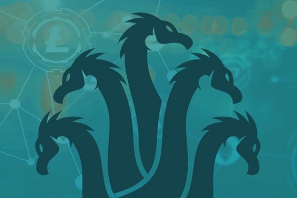 Kraken 24 at