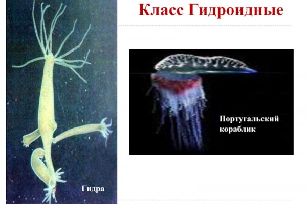 Покупки на кракене даркнет