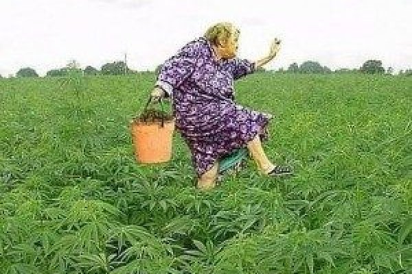 Кракен маркетплейс что там продают