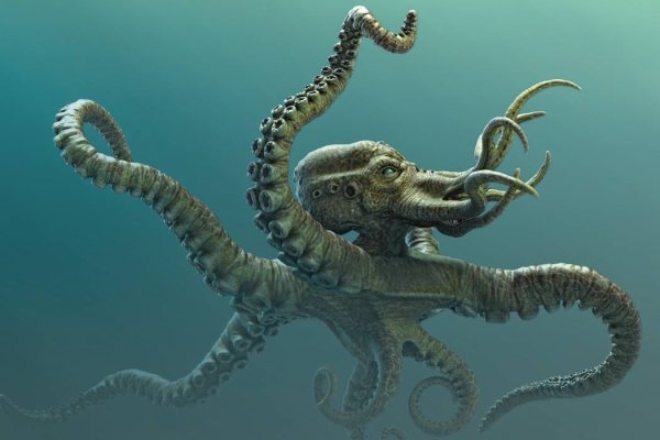 Kraken kraken link24 info